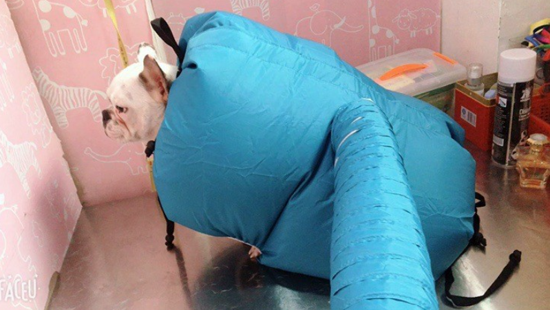 The Dry-ifier bag